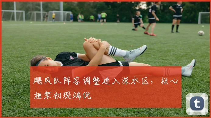 飓风队阵容调整进入深水区，核心框架初现端倪