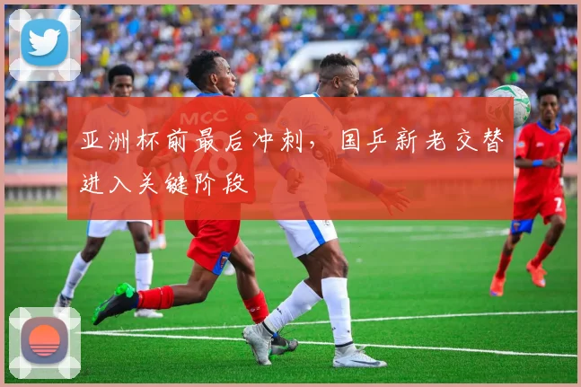 亚洲杯前最后冲刺，国乒新老交替进入关键阶段