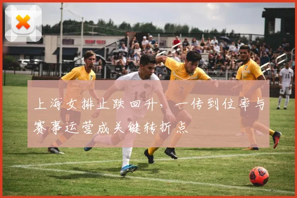 上海女排止跌回升，一传到位率与赛事运营成关键转折点