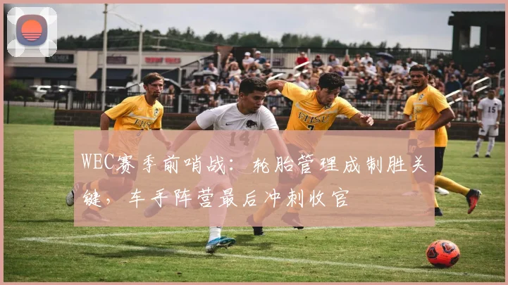 WEC赛季前哨战：轮胎管理成制胜关键，车手阵营最后冲刺收官